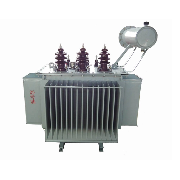 160kva Oil Filled Low Loss Electrical Transformer